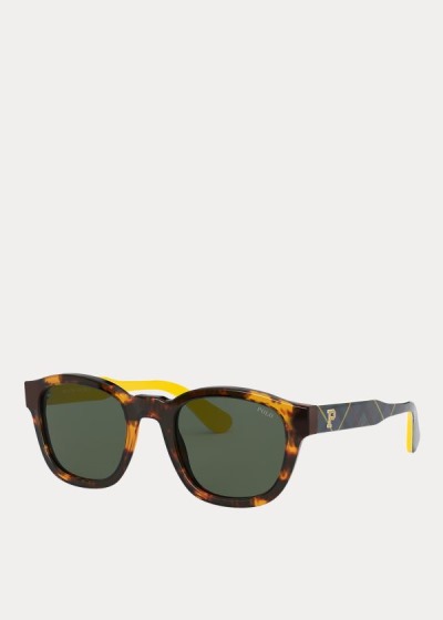 Men's Polo Ralph Lauren Tartan Collegiate Sunglasses | 730829WPH